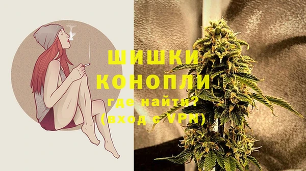 ГАЛЛЮЦИНОГЕННЫЕ ГРИБЫ Горно-Алтайск
