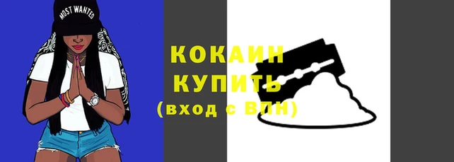 ГАЛЛЮЦИНОГЕННЫЕ ГРИБЫ Горно-Алтайск