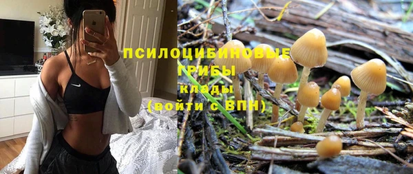 ГАЛЛЮЦИНОГЕННЫЕ ГРИБЫ Горно-Алтайск