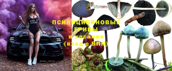 ГАЛЛЮЦИНОГЕННЫЕ ГРИБЫ Горно-Алтайск