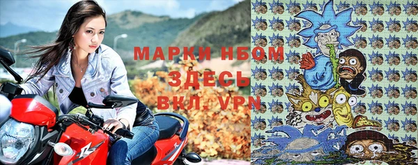 ГАЛЛЮЦИНОГЕННЫЕ ГРИБЫ Горно-Алтайск