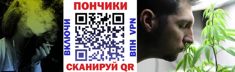 гидра сайт  купить закладку  Зея  Шишки марихуана план 