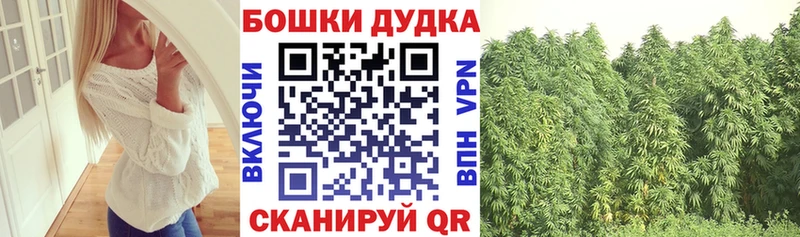 Бошки марихуана планчик Зея